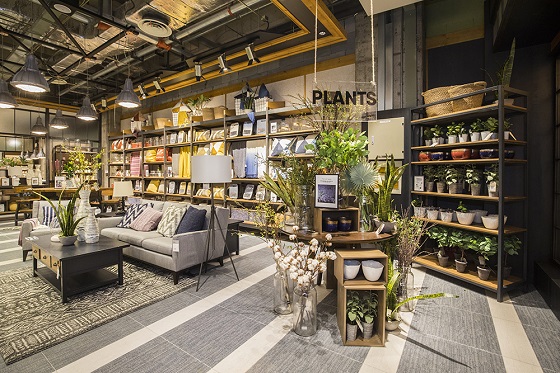 1502693893621978.jpg 4.jpg