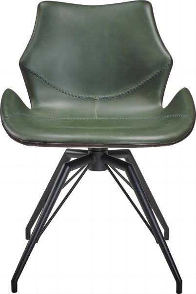 圖1 甲殼蟲(chóng) L19009.jpg(1)